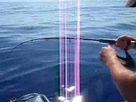 Saint pierre au jig partie de peche sur Ajaccio Corse