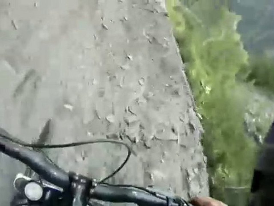 DH 2Alpes Venosc - part 2