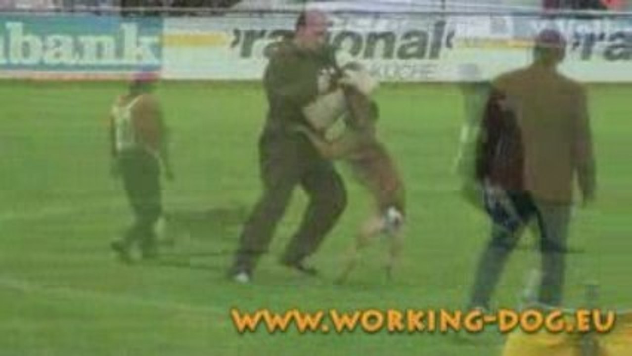 Trailer DMC Championat 2009 Waldmünchen Malinois