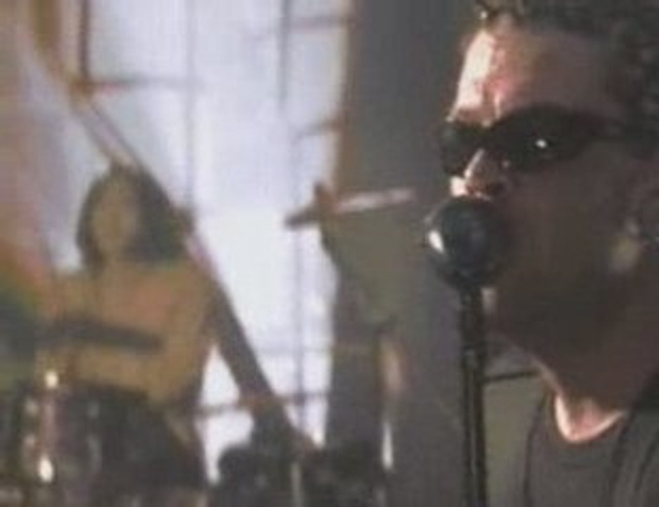 Hide With Spread Beaver - Bacteria