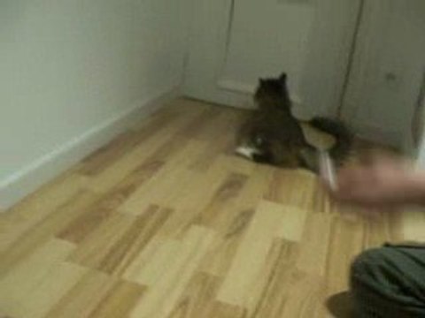 régis fait du cinéma!mdr