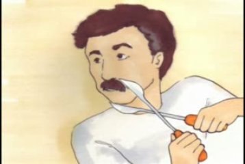 Animatic Castostages / Sujet Lisaa