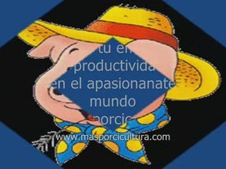 Porcicultura tecnificada, produccion de cerdos