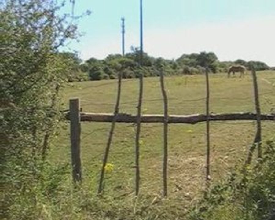 Le vélo c'est dangerous.
