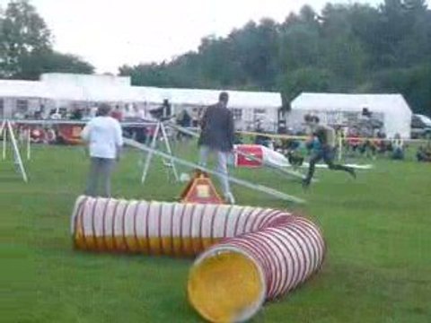 Vast 1 european open agility