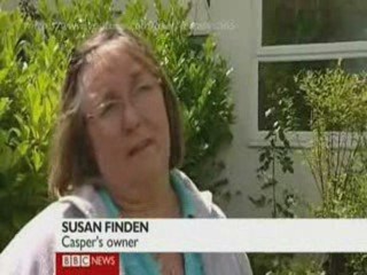 ⁣BBC NEWS - CASPER THE COMMUTER CAT