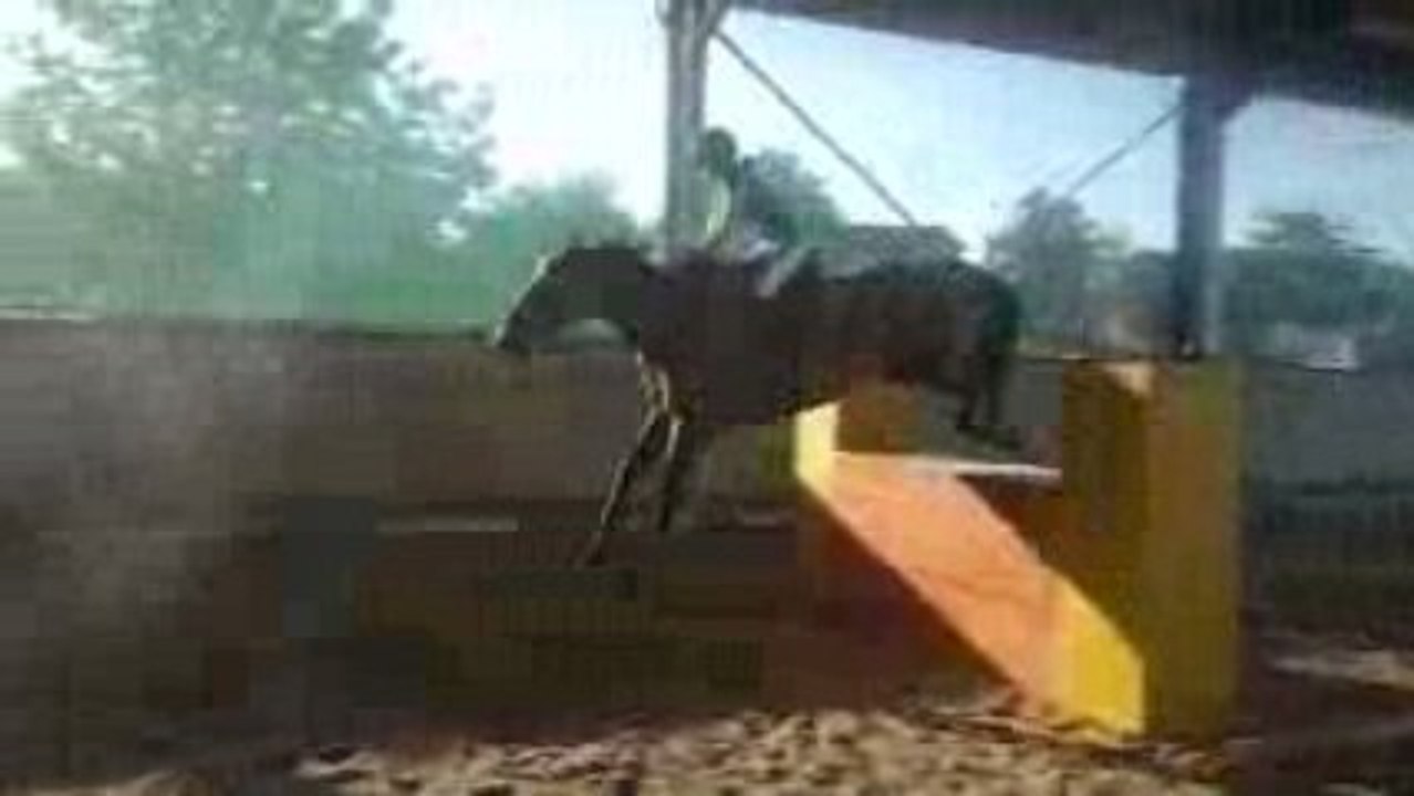 Pilote et Moi // mur 1 m 05