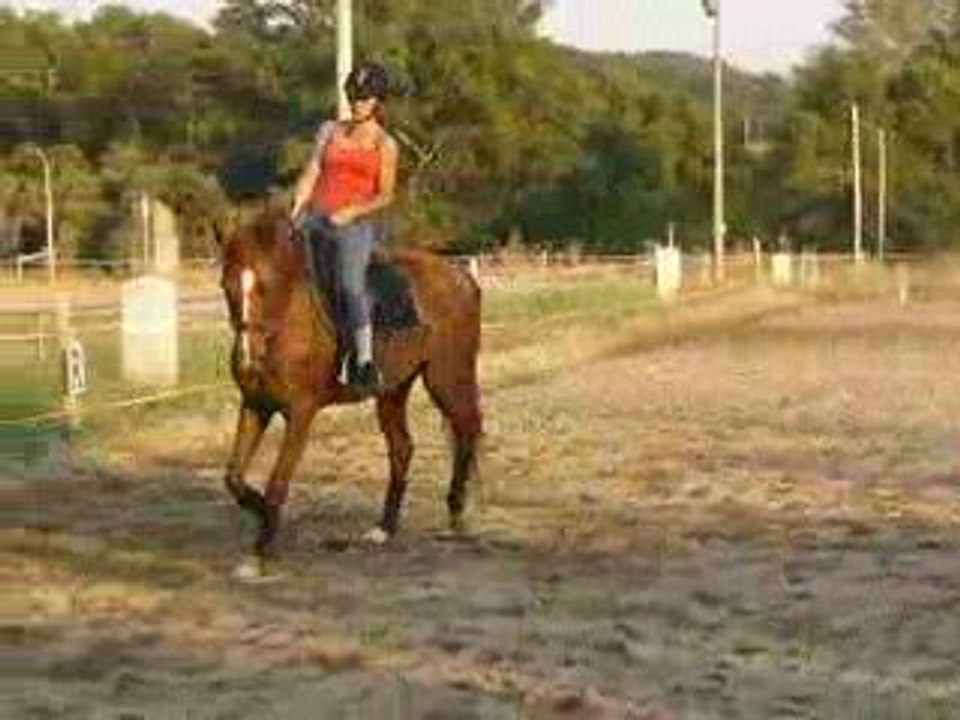 LUTECE 1