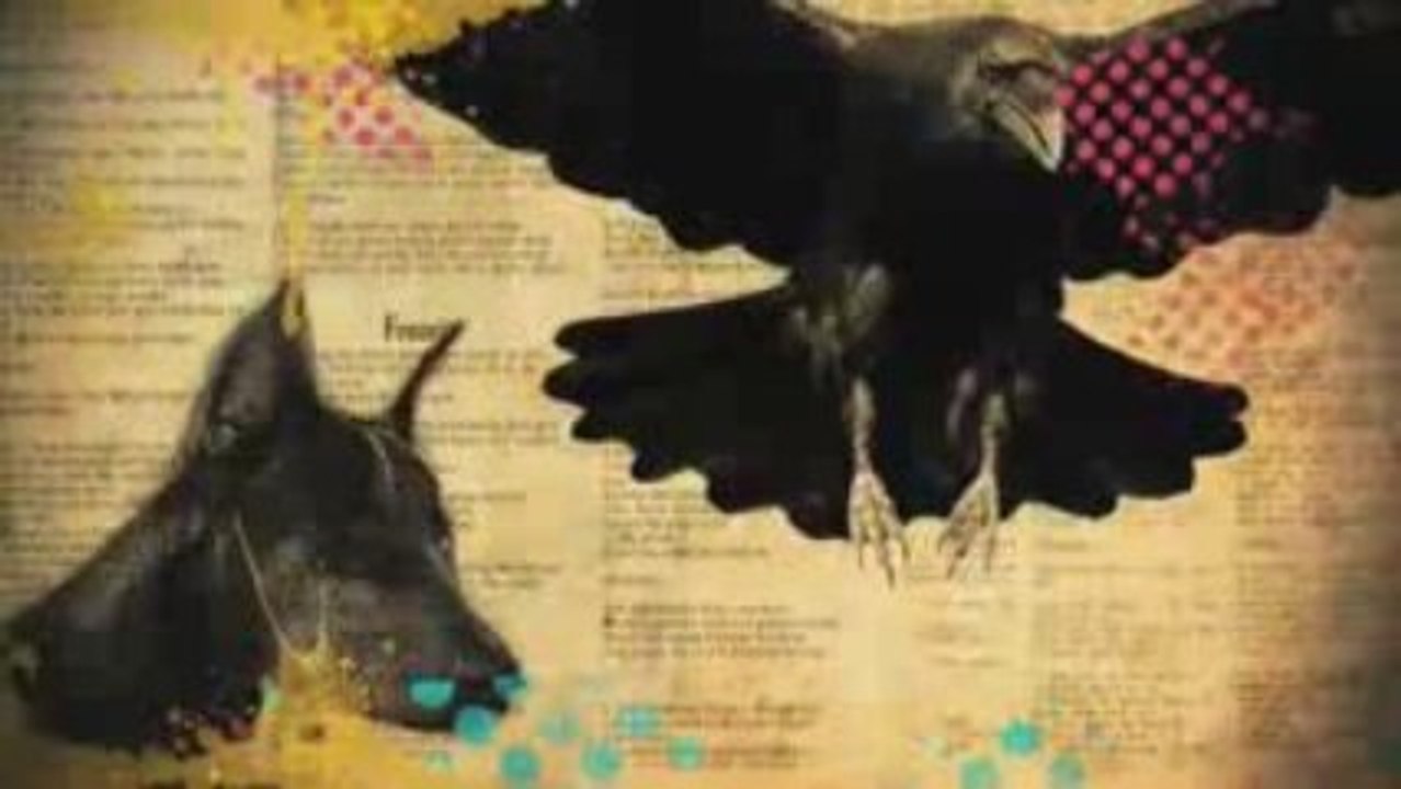 Celebration Teaser