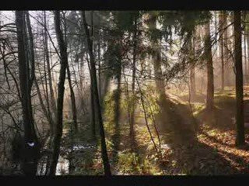 Unsere Heimat Die Verantwortung übernemen