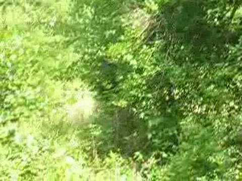 Buy Land Louisa, Land for Sale in Louisa, Land Sale Virginia