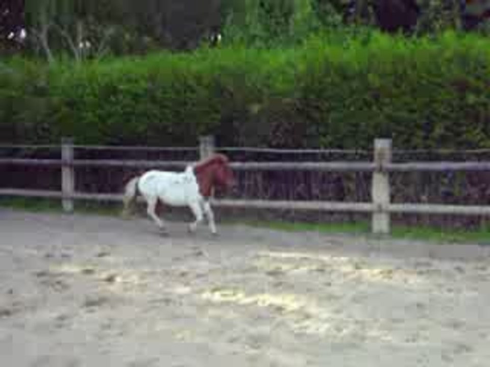 Prince qui saute, 2ieme saut a droite