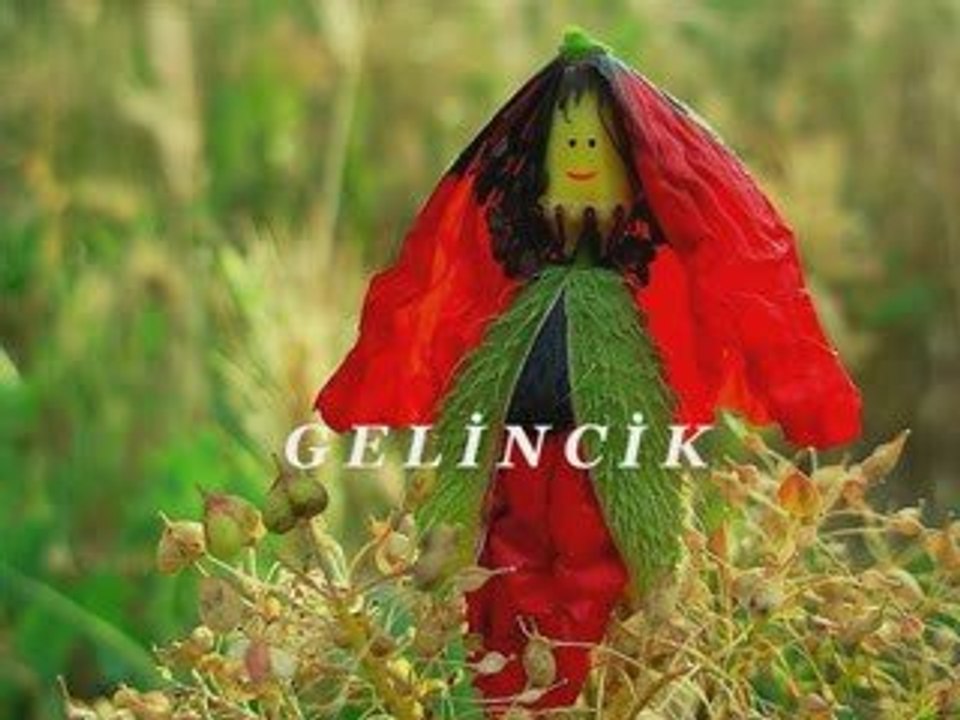 GELİNCİK