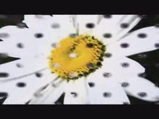 Kırıldım aşk'a ama onun haberi yok...-EoTeN