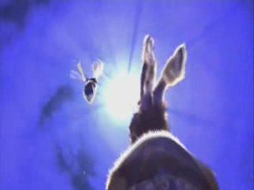 Bunny  ~  Animated 3D short...