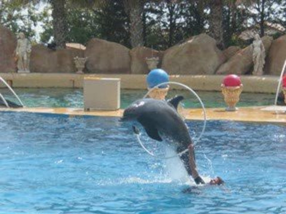 Marineland_0001