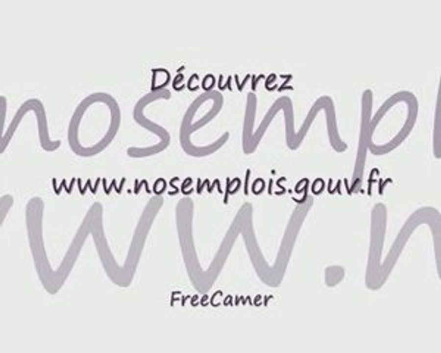 Pôle Emploi Bling Bling