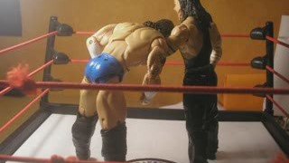 Figurine WWE :Twist of Fate