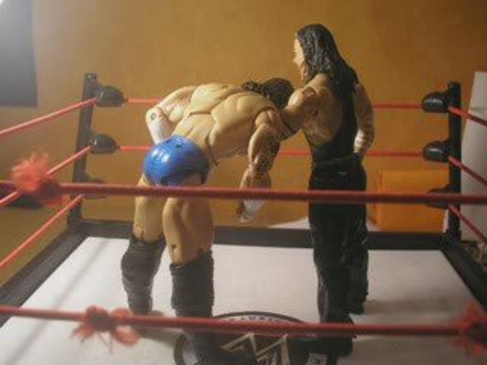 Figurine WWE :Twist of Fate