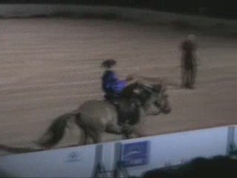 Equestria 2009 - Troupe Patrice Raymond