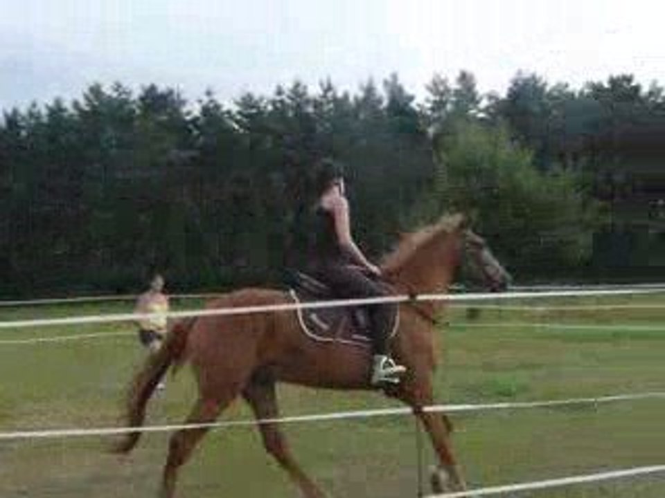 debourrage shiffoumi 4 1er galop