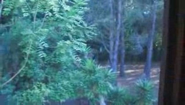 Maison salles d'aude