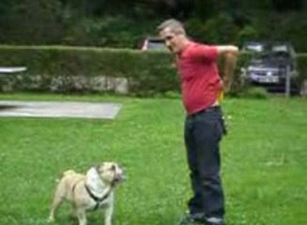 Goliath et le frisbee
