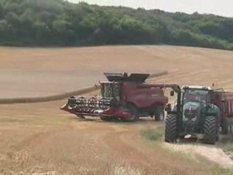 BAGONNE MOISSON 2009 VILLEPOT COURSON LES CARRIERES