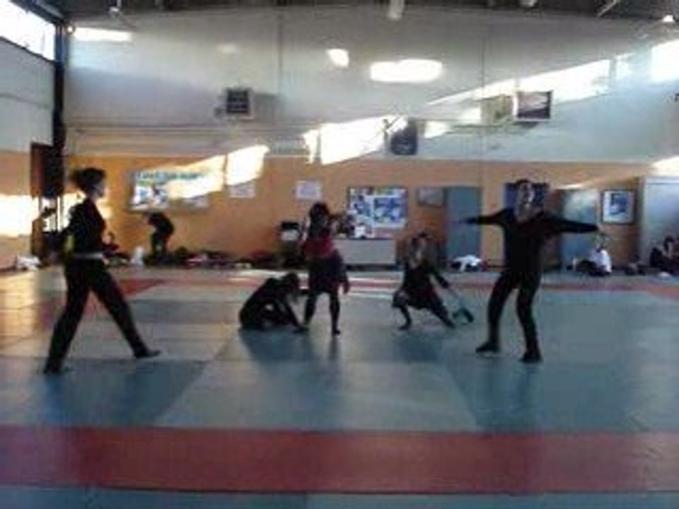 TS2 danse année 2007-2008