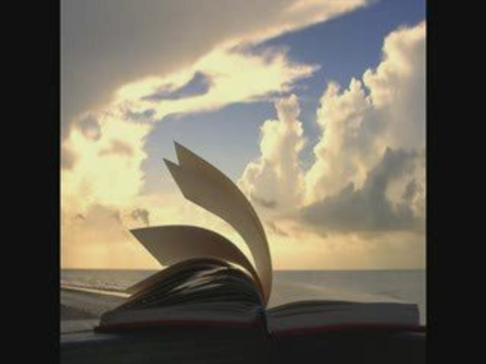 Effleurements - Endir (End of Orgy)