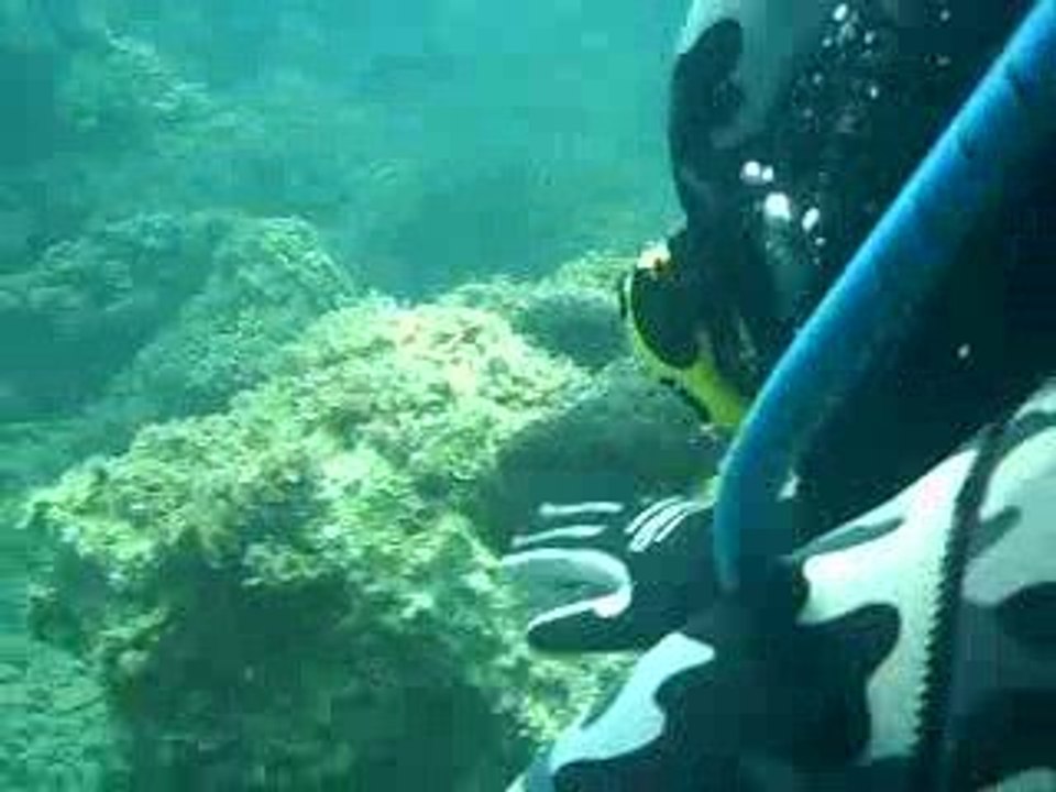 NAK(Nilufer Arama&Kurtarma), Bursa - Kusadasi Dalis Goruntu