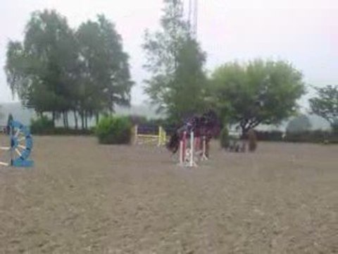 Kamaro, jeune étalon frison au CSO