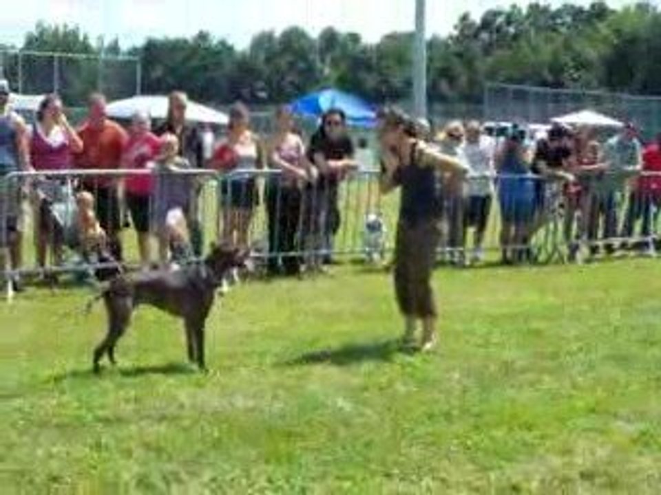 Melvin freestyle terbonne