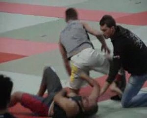 Les Professeurs de l'Académie Séquana