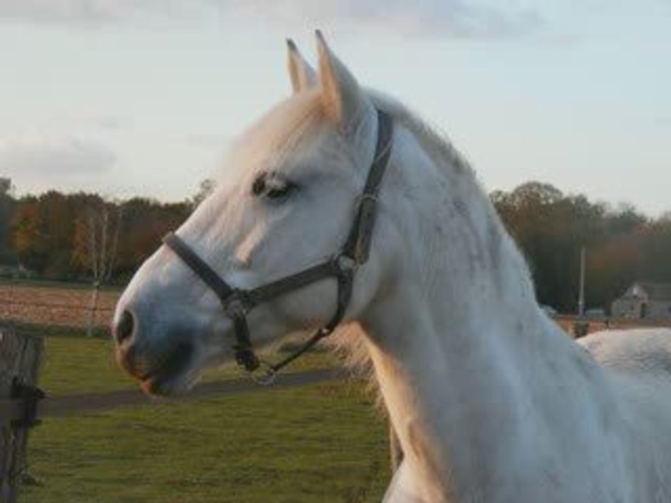 loin des yeux pres du coeur <3