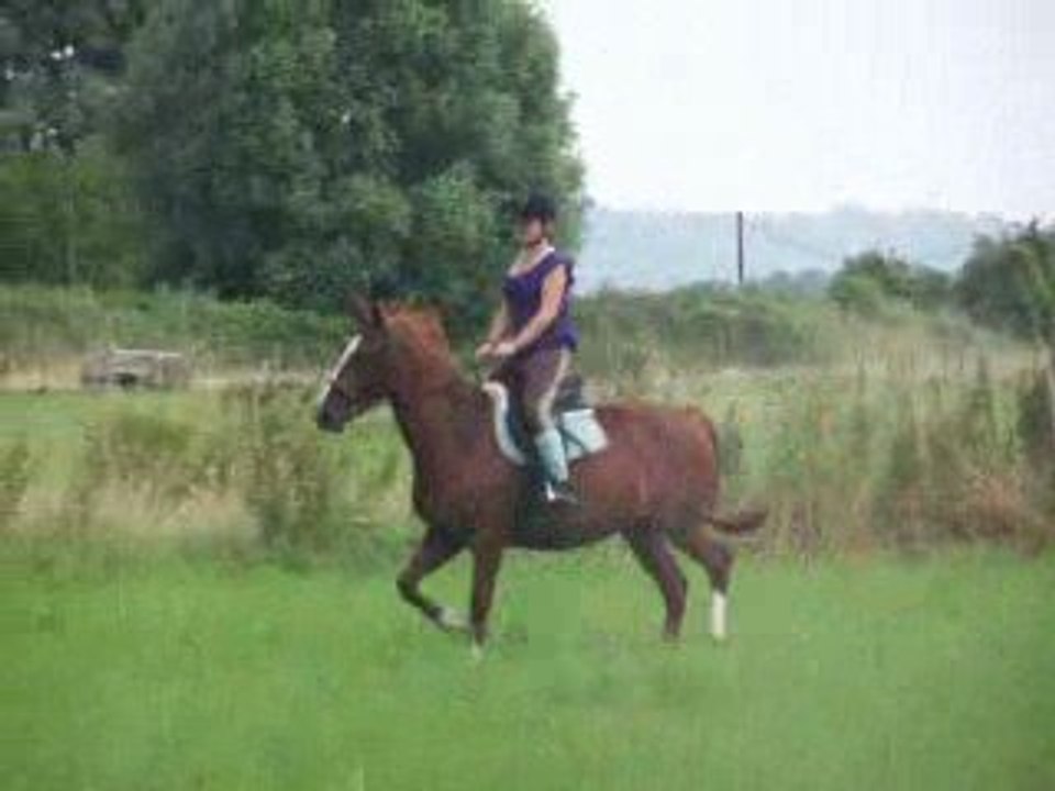 JUILLET 2009
