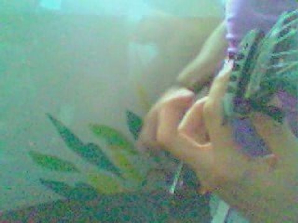 Green Day - American idiot cover