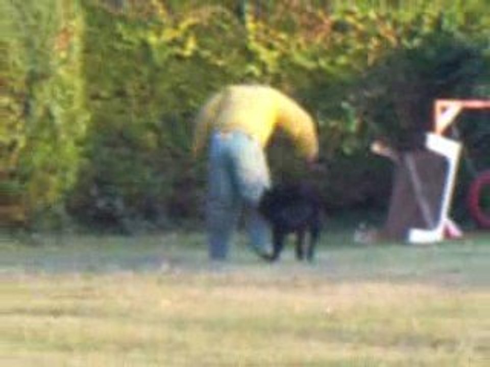 Benjy des Wallabies ring