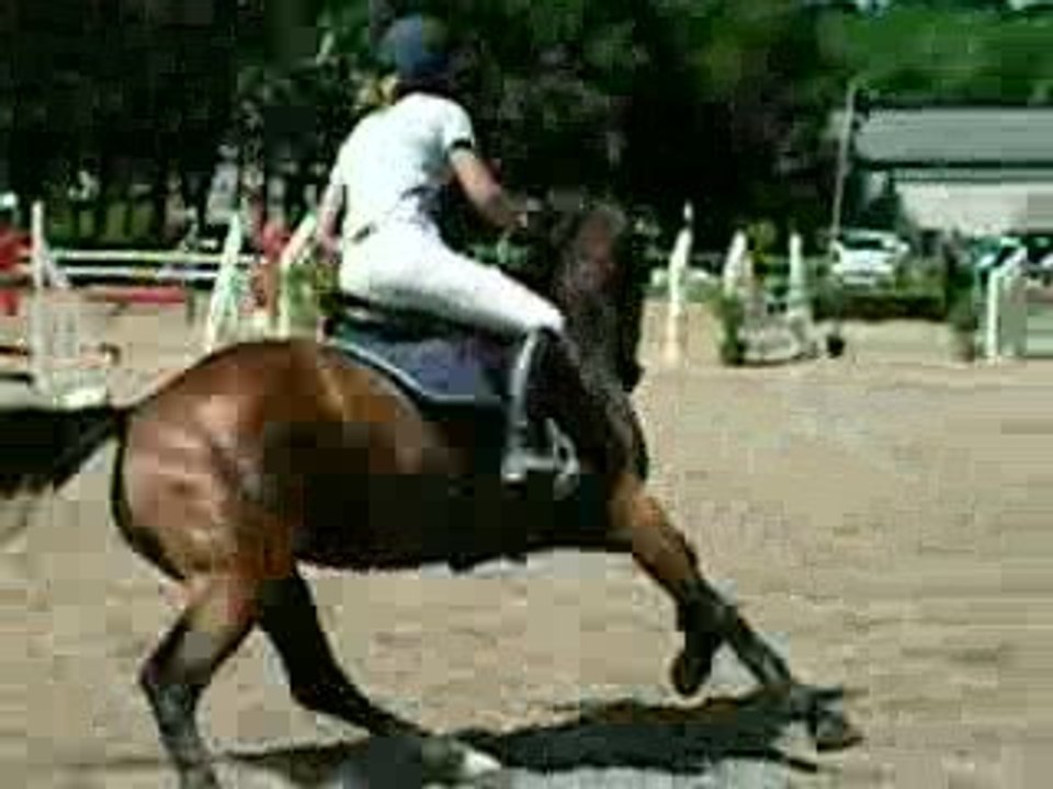 Concours hennebont Laure