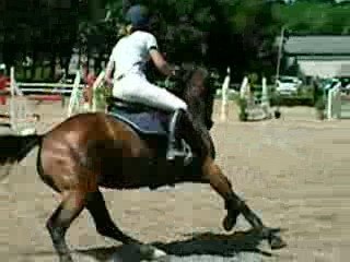 Concours hennebont Laure