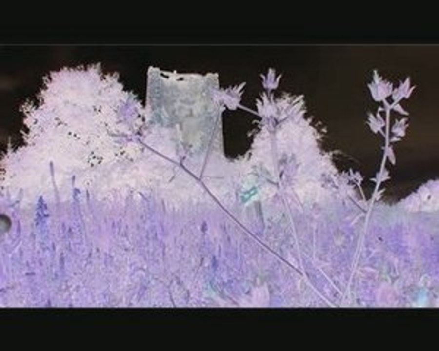 J'Vais partir en vOiture..MUSIK&LYRICS: DOminique De BritO -