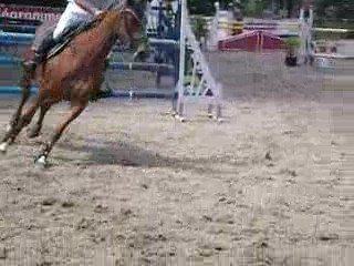 olivier neige concours hennebont