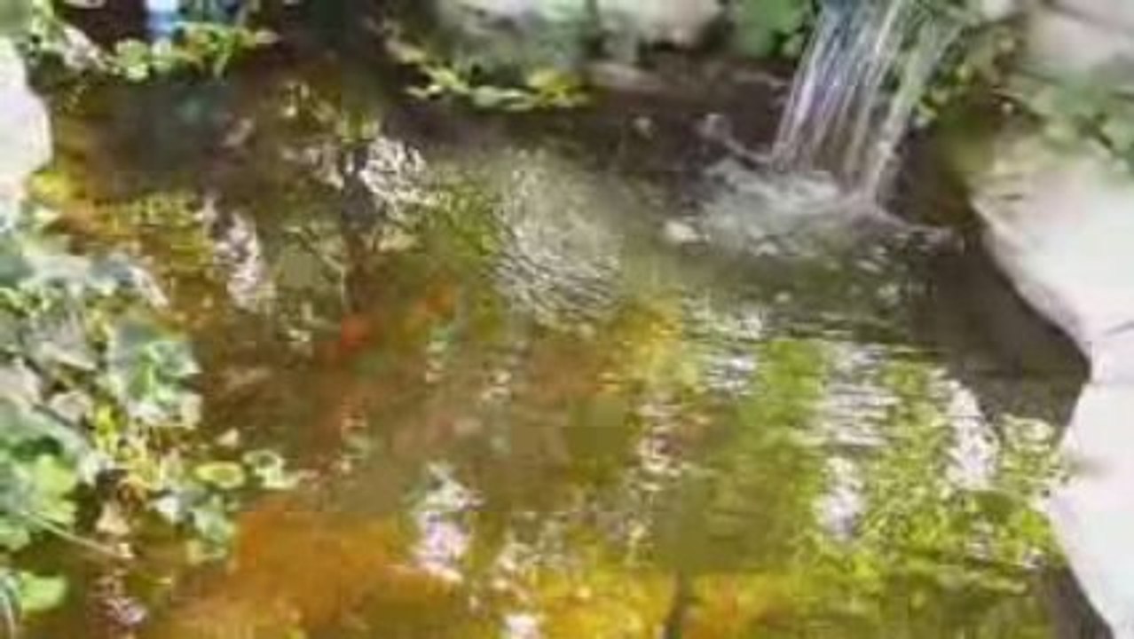 How to enjoy your own Simple Pleasures