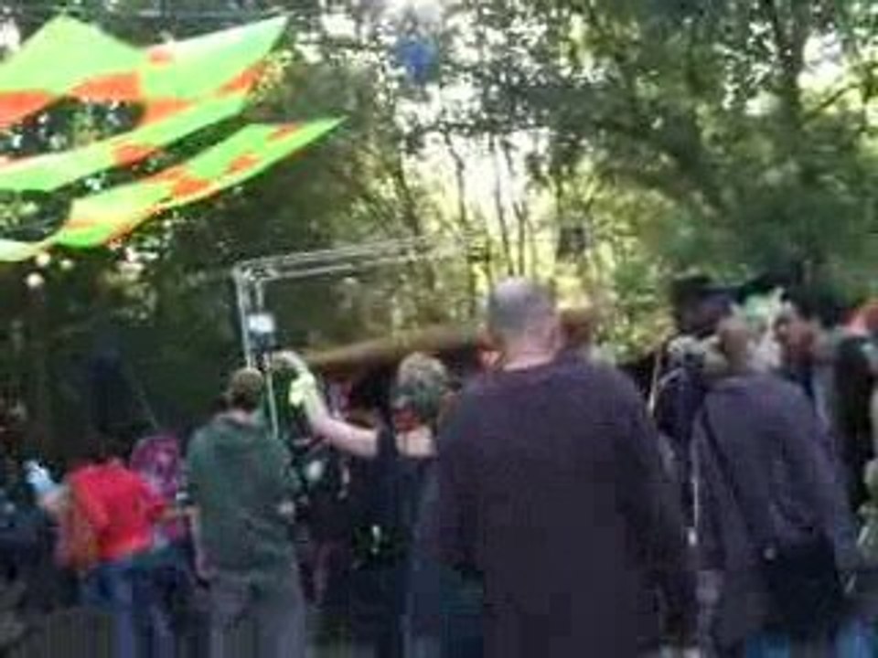Forest of the Freak