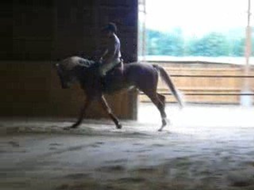 SUITE RETOUR DU BLOND