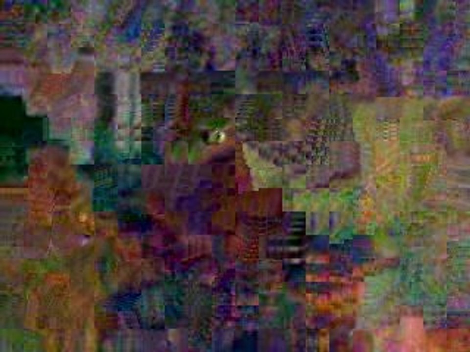 Accouplement Newton et Kelly [ Les Rongeurs Du 80 ]