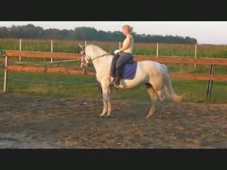 Kelline Maestoso au dressage Juillet 2009