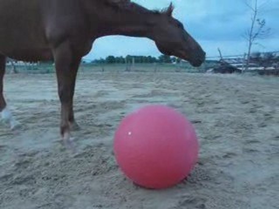 just découvre le ballon