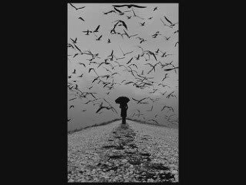 Talha Bora Öge Korkmuyorum Seni sevmekten