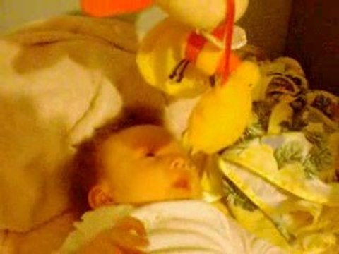 camille, bientôt 2 mois